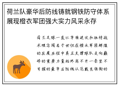 荷兰队豪华后防线铸就钢铁防守体系展现橙衣军团强大实力风采永存